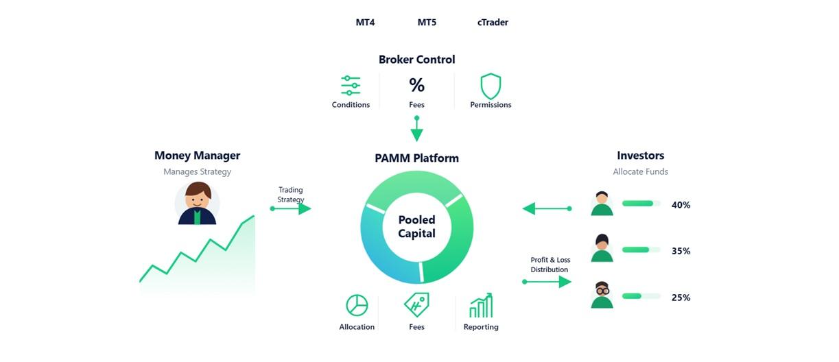 Spec Markets Launches PAMM Accounts with Brokeree Technology