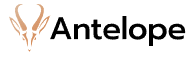 Antelope Systems CEO Ori Hazan Resigns Amidst Industry Shift