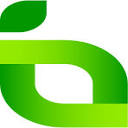 Limepay: Powering Global Business Growth with Payment Systems